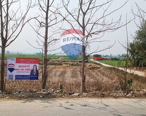 For Sale Land 896 sqm in Thoeng, Chiang Rai, Thailand