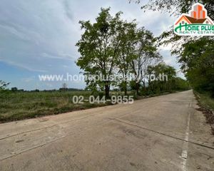 For Sale Land 1,600 sqm in Wichian Buri, Phetchabun, Thailand