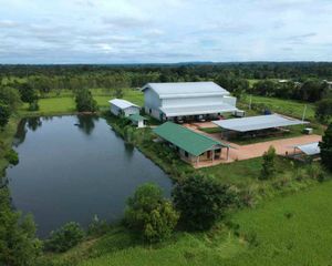 For Sale Warehouse 22,400 sqm in Mueang Surin, Surin, Thailand