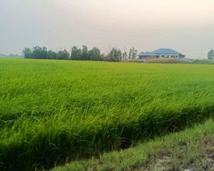 For Sale Land 18,472 sqm in Song Phi Nong, Suphan Buri, Thailand