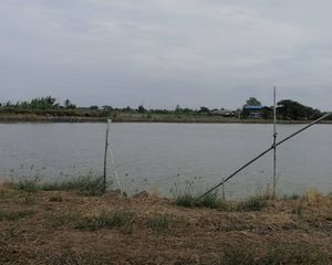 For Sale Land 12,800 sqm in Bang Khla, Chachoengsao, Thailand