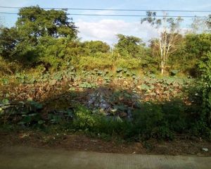 For Sale Land 11,824 sqm in Chiang Khan, Loei, Thailand