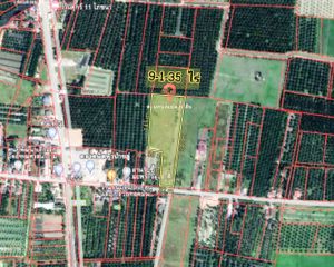 For Sale Land 14,940 sqm in Pak Phanang, Nakhon Si Thammarat, Thailand